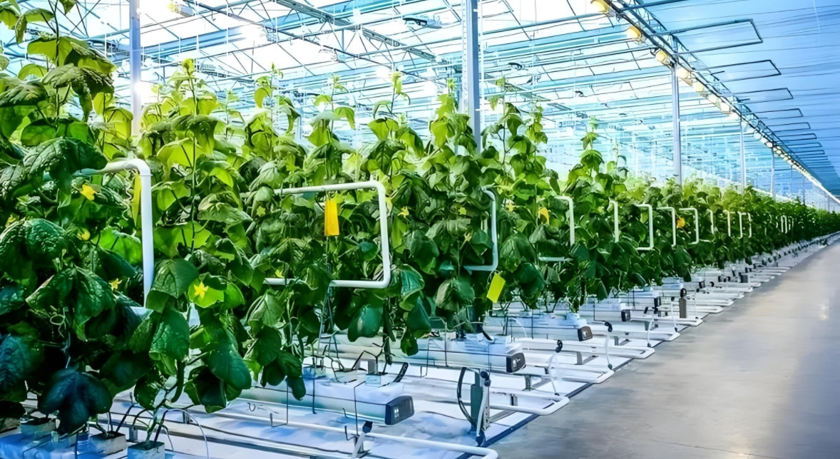 The potential of TOF sensors in the field of smart agriculture