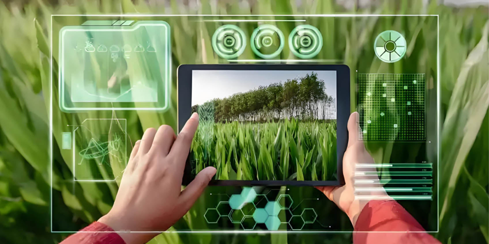 TOF Technology in Crop Monitoring: Enhancing Efficiency and Precision